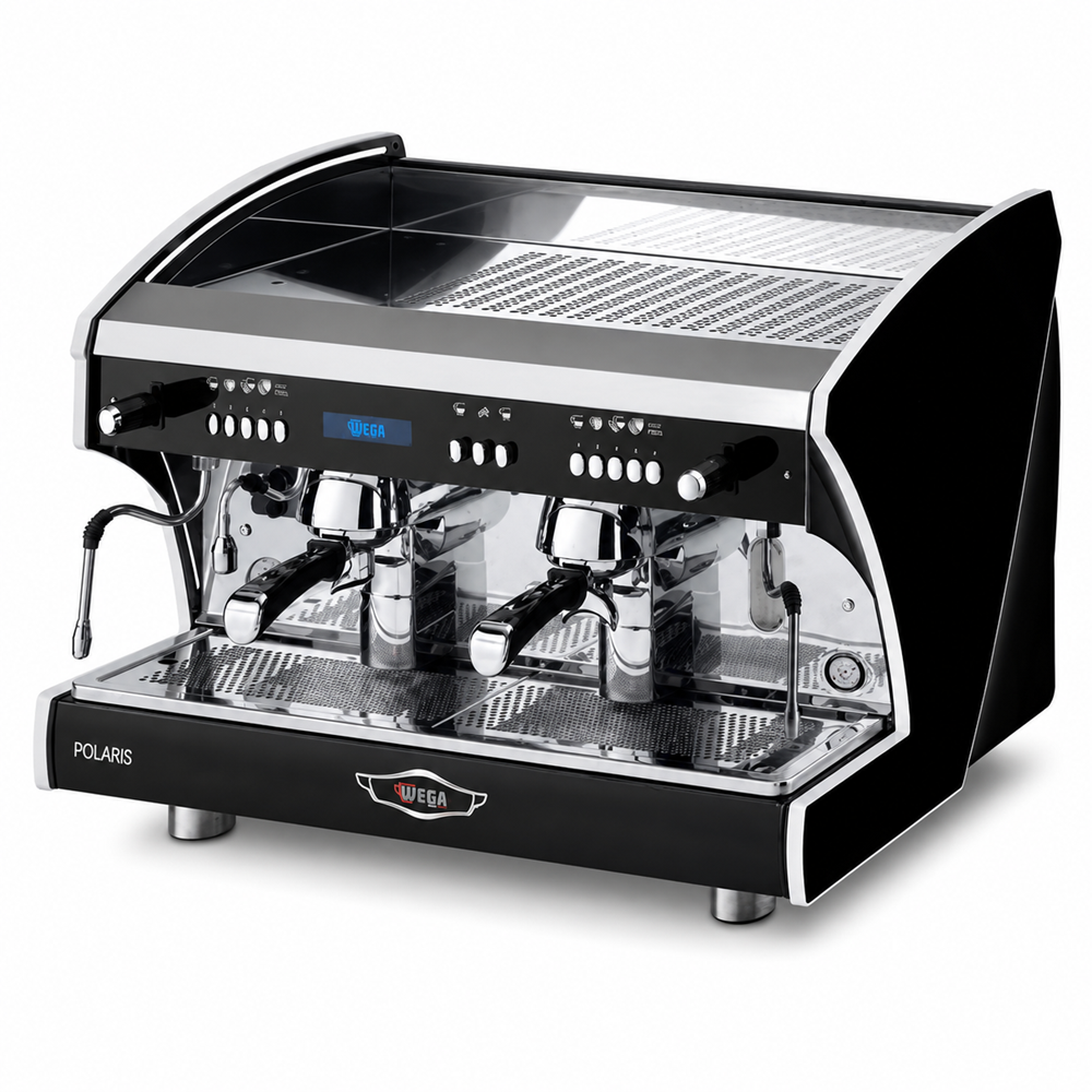 POLARIS EVD2 TC WEGA ESPRESSO MAKİNESİ 2 GR.